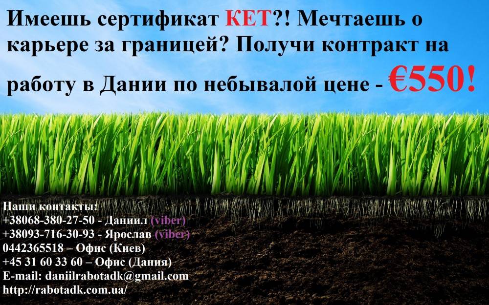 Советы по трудоустройству в дании