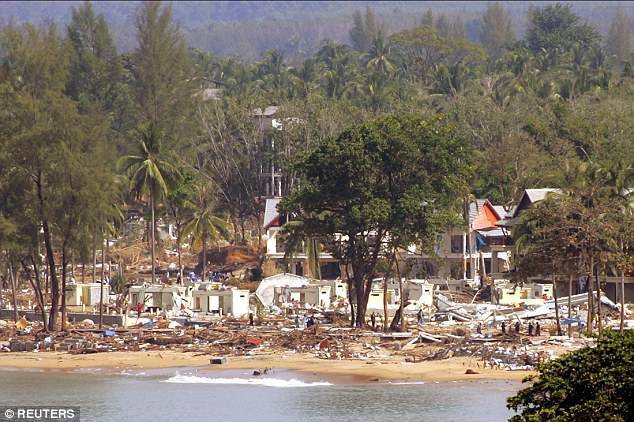 Все о цунами в таиланде — mythaiguide.ru