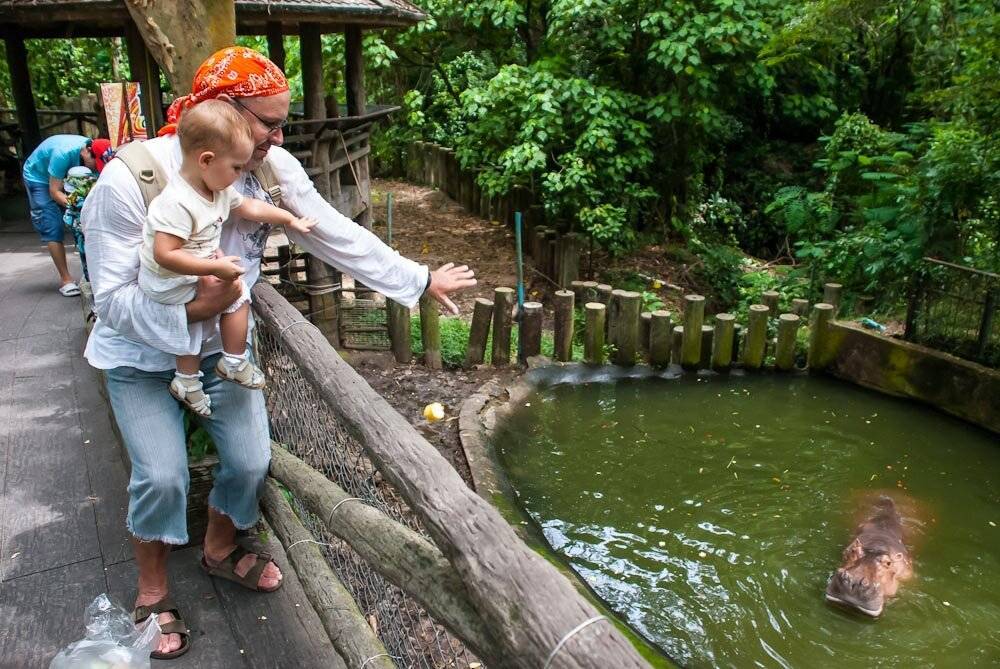Кхао кхео - зоопарк в паттайе: фото, как добраться самостоятельно - 2020