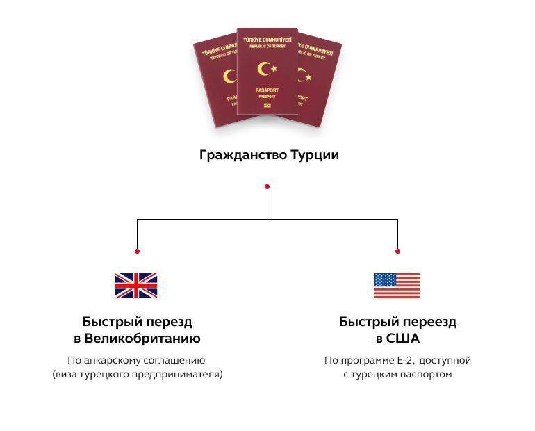 Возможно ли двойное гражданство россии и турции