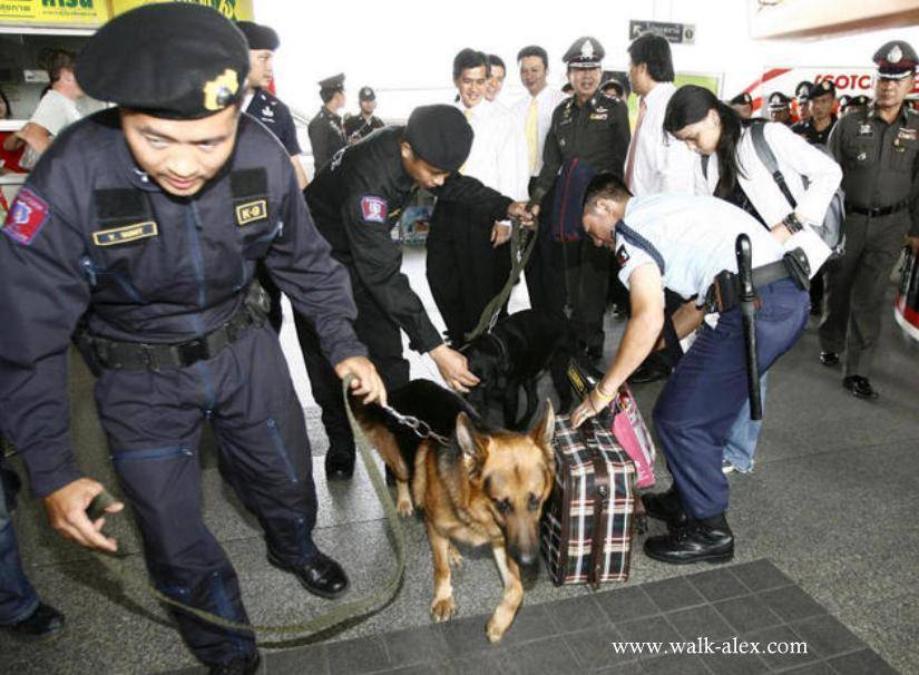 Наркотики в тайланде: наказание за употребление и торговлю. какие наказания за наркотики в таиланде