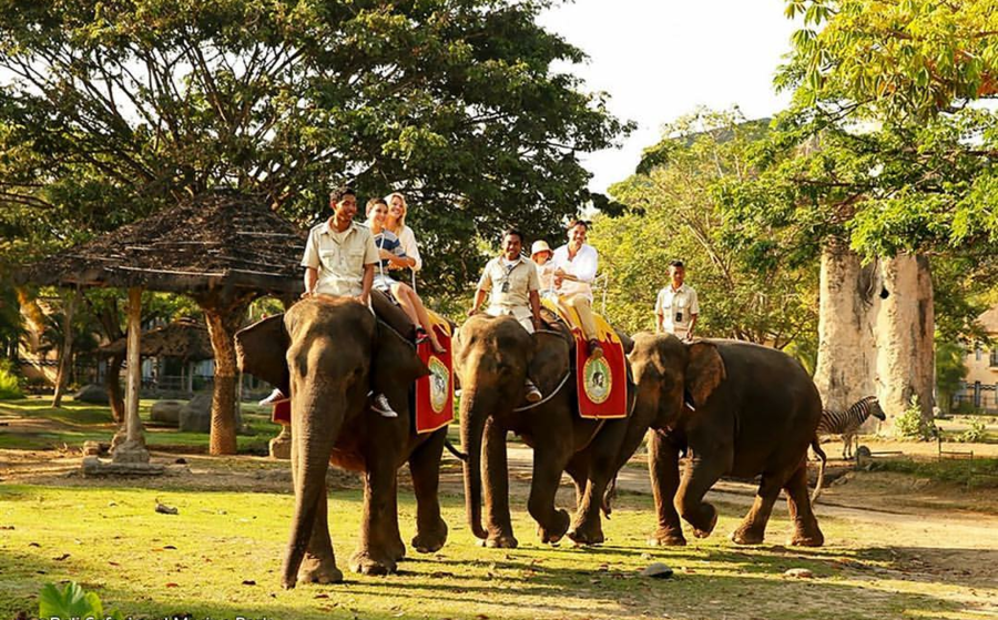 Сафари парк на бали (bali safari and marine park) – парк дикой природы для всей семьи