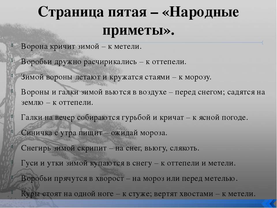 Голова приметы. Приметы связанные с воронами. Народные приметы. Про ворон. Современные приметы. Приметы про ворону.