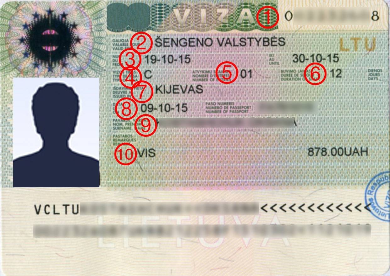 Как выглядит шенгенская виза в паспорте в 2023 году