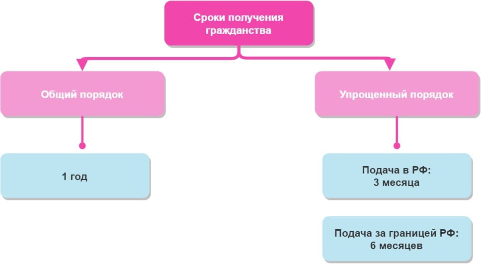 Гражданство рф схема