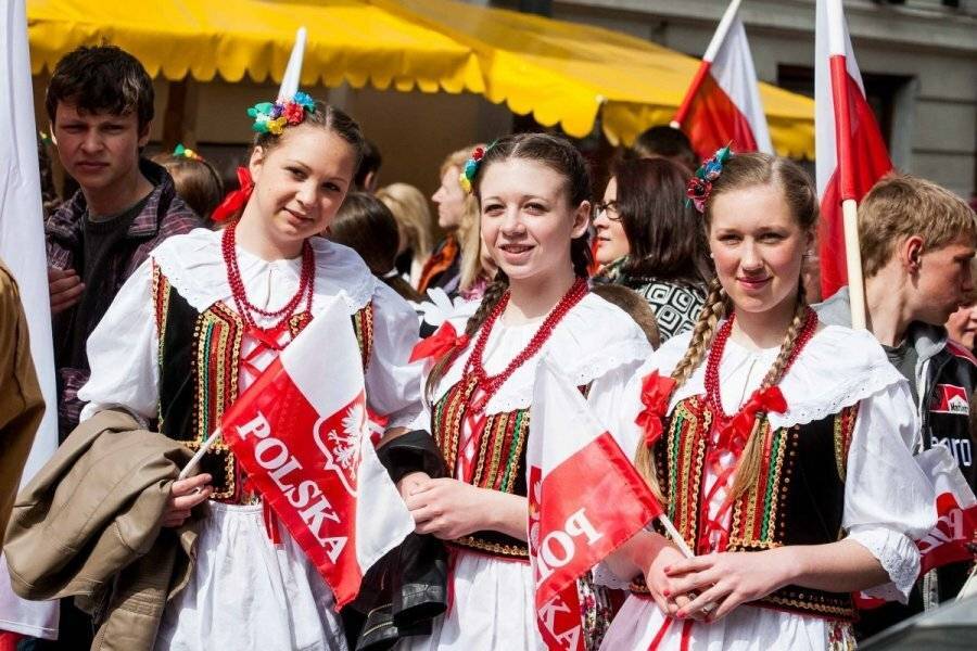 Польский язык : реферат : языкознание, филология