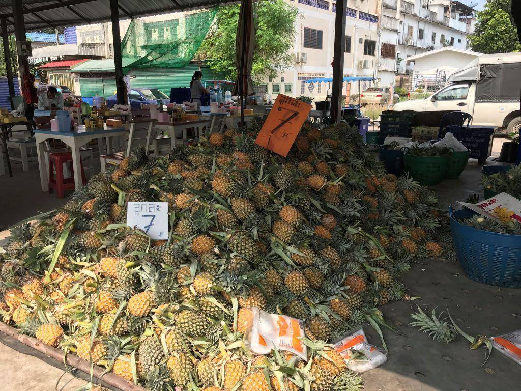 Популярные фрукты таиланда: полный обзор с фото и описанием