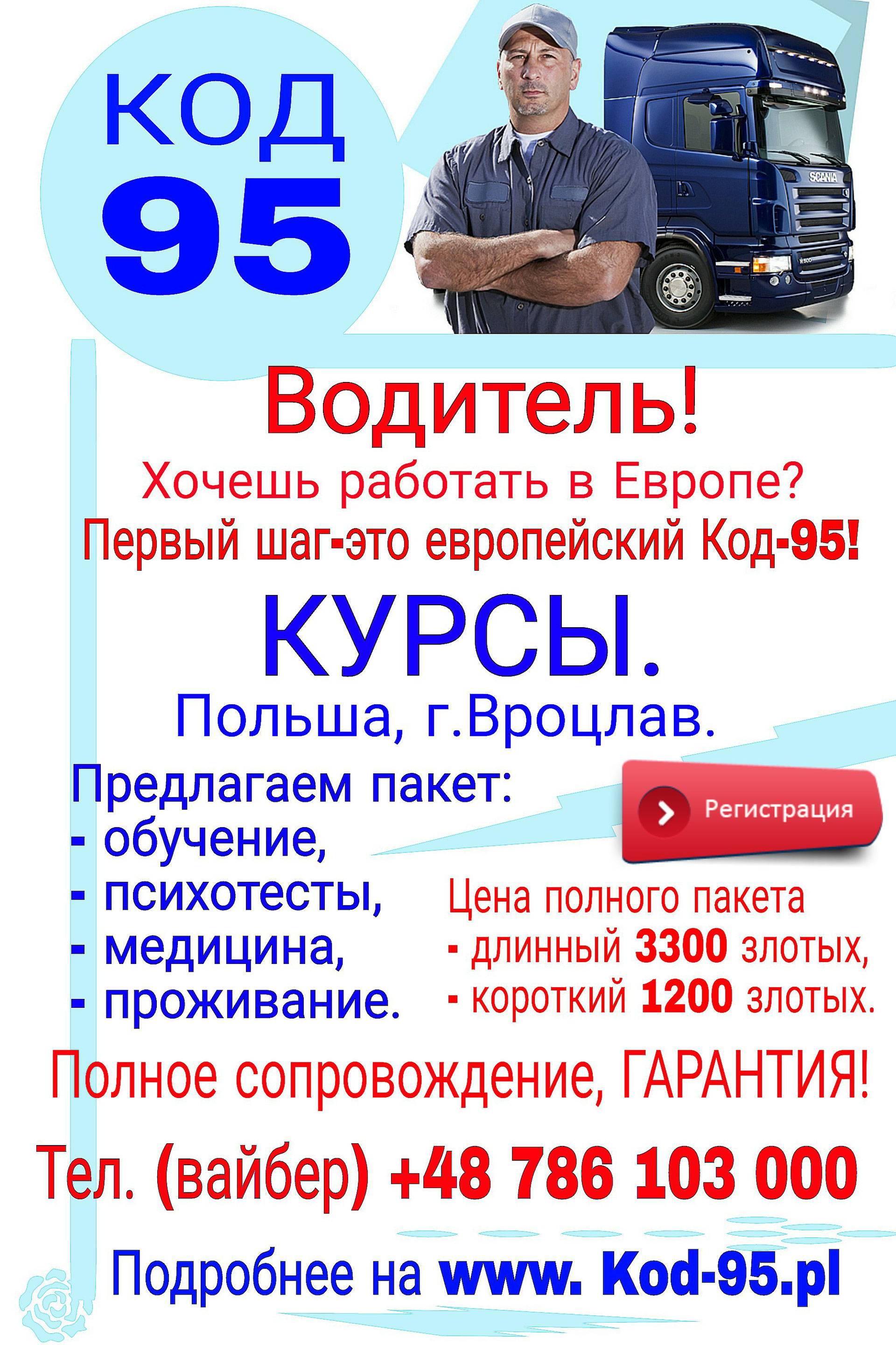 как выглядит код 95 в литве