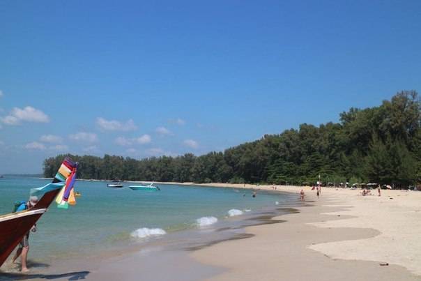 Пляж най янг (nai yang beach) - пхукет: фото, видео, отели, как добраться - 2021