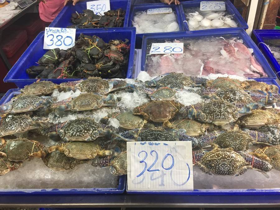 Рыбный рынок в паттайе: как добраться, что продается, советы туристам