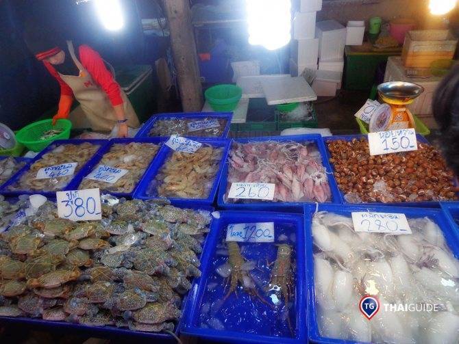 Рыбный рынок в паттайе - путешествия