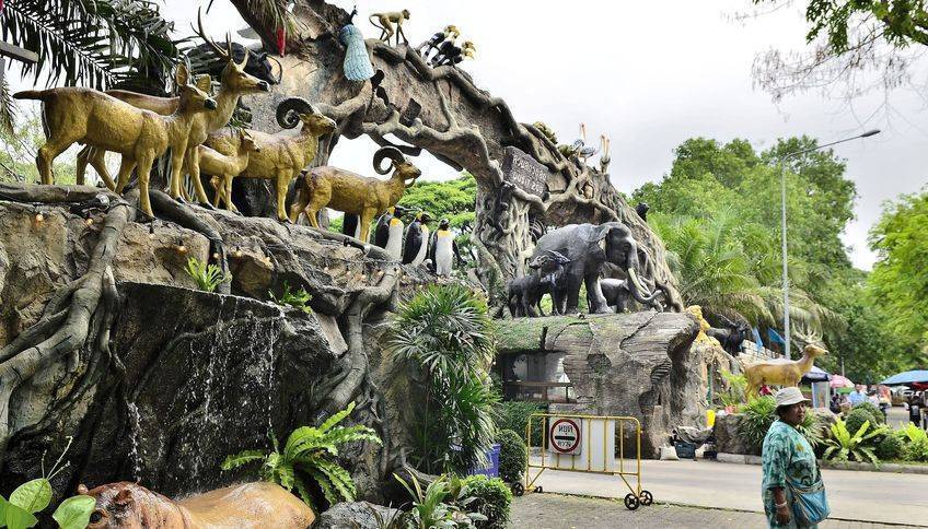 Зоопарк дусит, бангкок (таиланд): история, фото, как добраться, адрес
на карте и время работы в 2021 - 2022