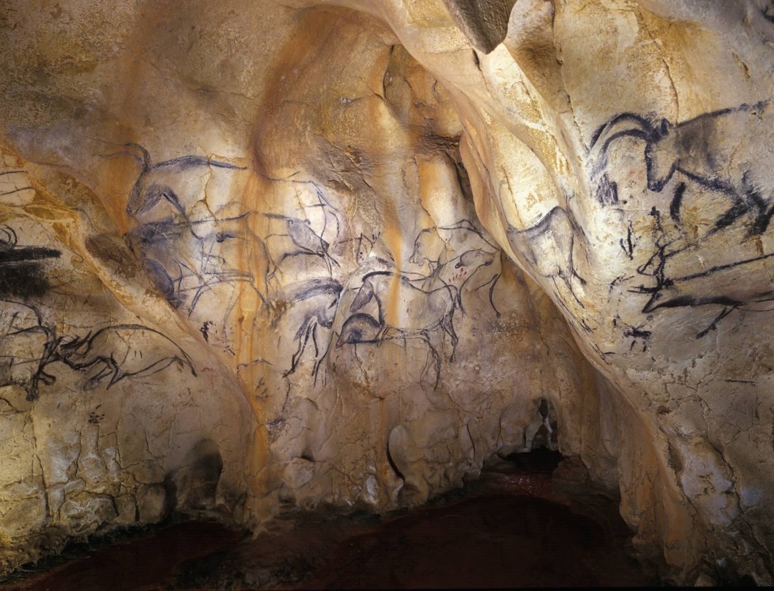 Чудо природы шондонг — затерянный лес в самой большой пещере мира
