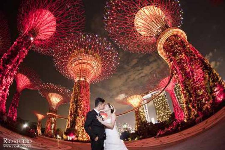 Свадебная церемония во вьетнаме: как организовать, где провести, стоимость