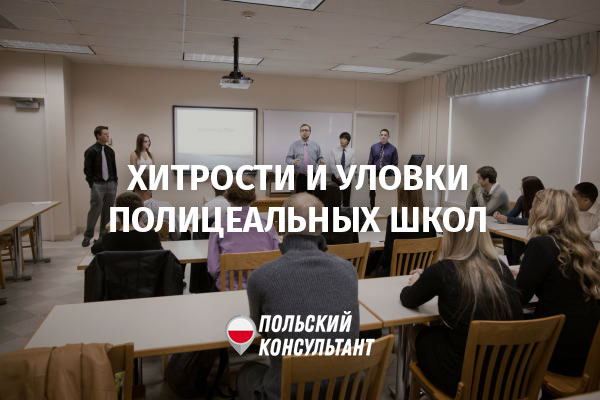 Обучение в польше: варианты бесплатного высшего образования для русских — как проходит учеба в стране — вне берега