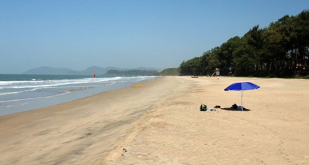 Пляж галджибага, гоа (индия): история, фото, как добраться, адрес
на карте и время работы в 2022 - 2023