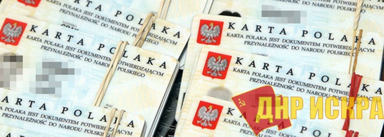 Образование в польше - польский мир образование в польше