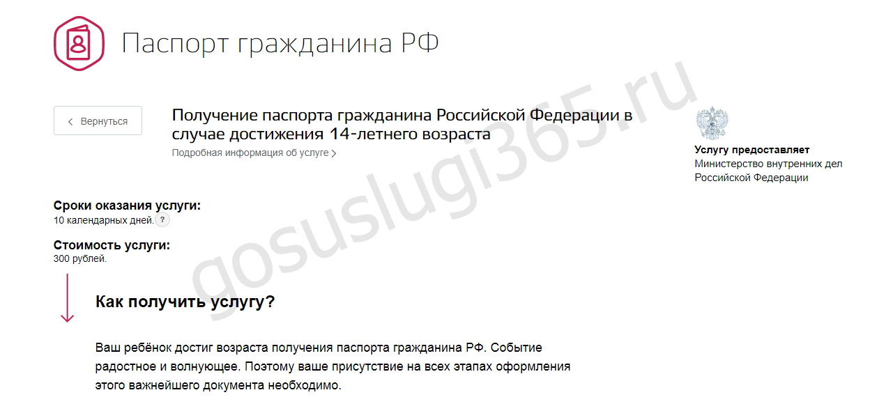 Получение паспорта в 14 лет через мфц: все аспекты процедуры