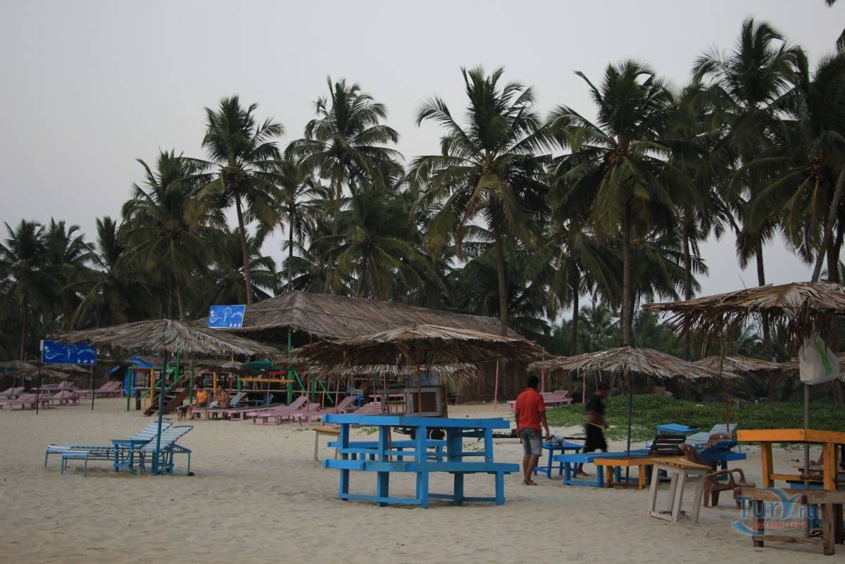 Пляж колва — подробное описание поселка гоа