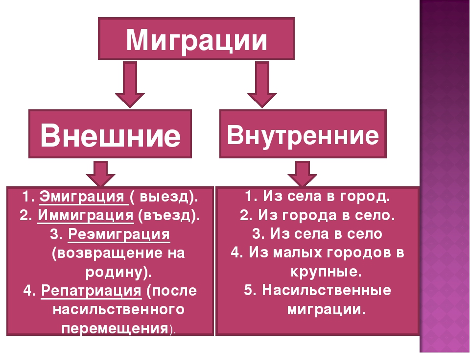 Основные направления внутренней и внешней определяются. Внешняя и внутренняя миграция. Внешние миграции населения. Примеры внешней миграции. Внутренняя миграция.