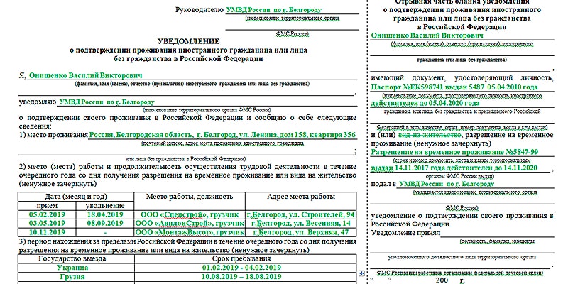 Как подать и сроки уведомления о внж в рф в 2023 году