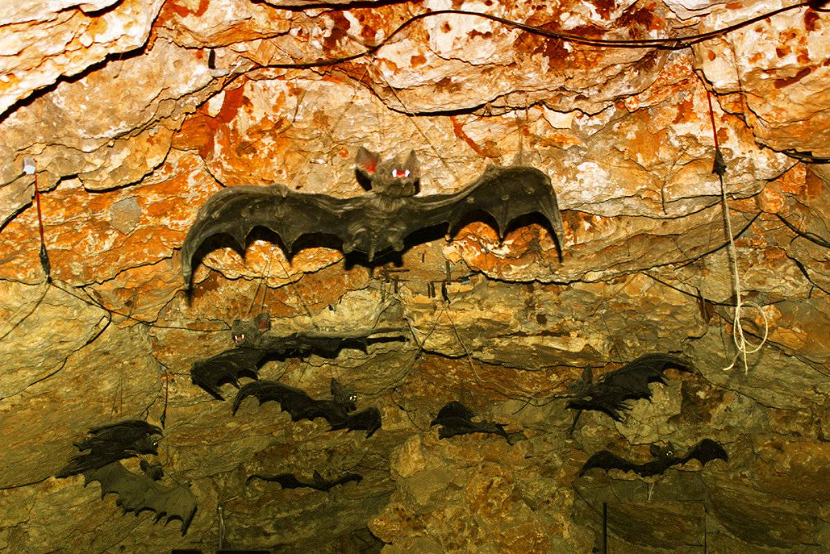 Гротт-де-ля-бальм – пещеры с летучими мышами во франции (лион)