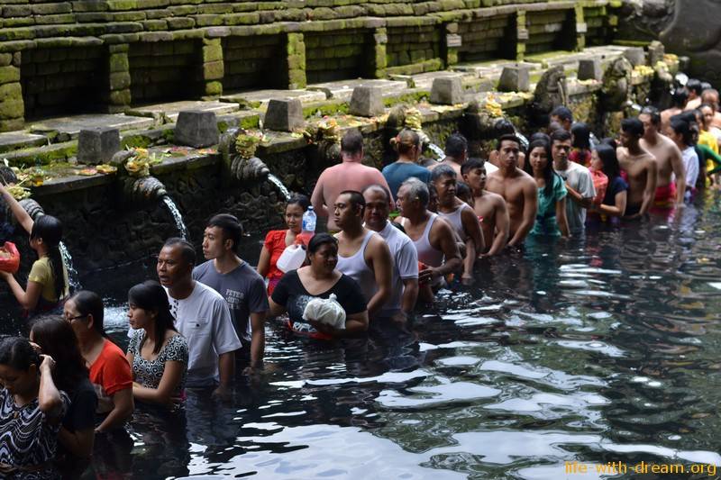 Храм священной воды – секреты священного источника на бали