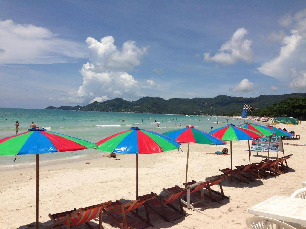 Лучшие отели на самуи на пляже: королевский комфорт и уют на острове в таиланде