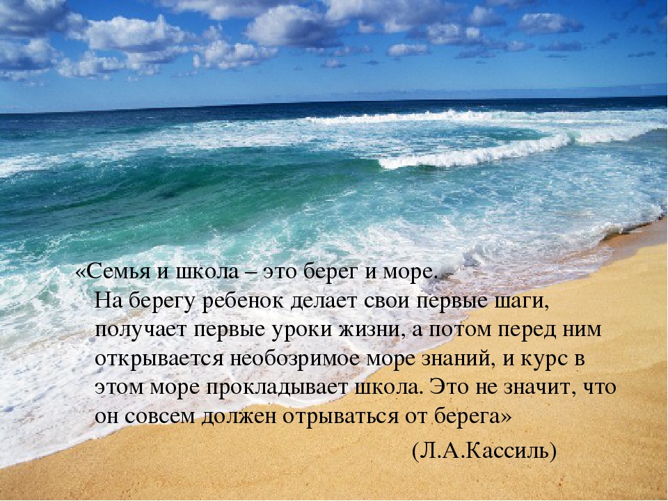 Приметы про чаек: к чему летает над водой или кладбищем, к какой погоде, значение для моряков