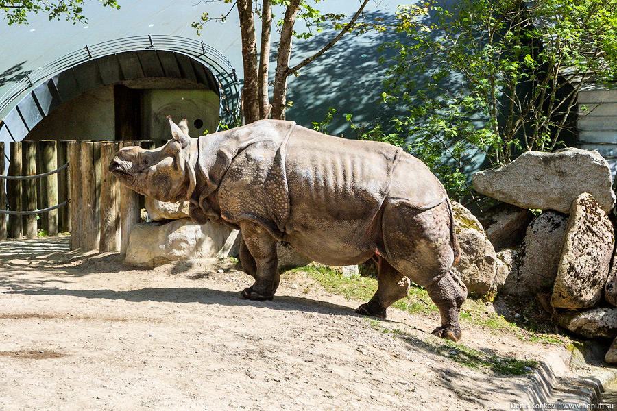 Самый большой зоопарк. Зоопарк Tierpark Hellabrunn. Хеллабрунн Мюнхен. Зоопарк в Мюнхене. Достопримечательность Мюнхена зоопарк Хеллабрунн.