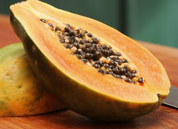 Фрукт горная папайя: фото, полезные свойства, выращивание