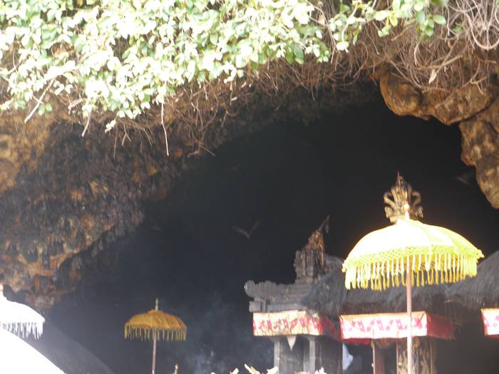 Храм пещеры тигра и 1237 ступеней к будде в краби