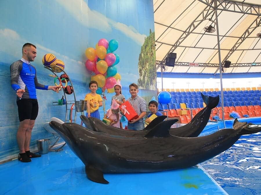 Дельфинарий dolphinarium в паттайе (таиланд)