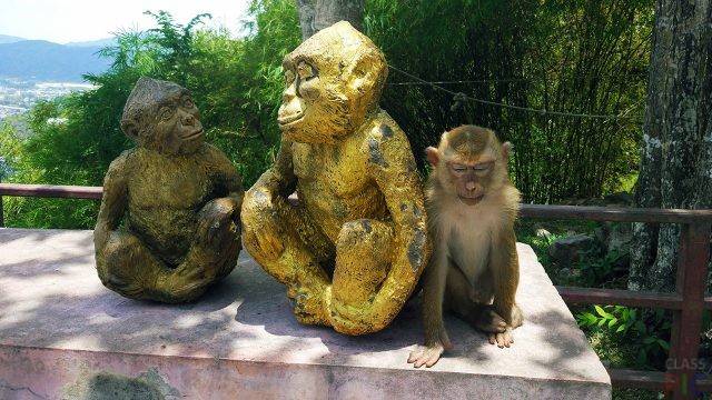 Wat suwan khuha: пещерный храм с обезьянами и лежащим буддой | гид по таиланду