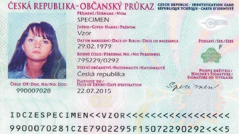Процедура оформления гражданства чехии для россиян