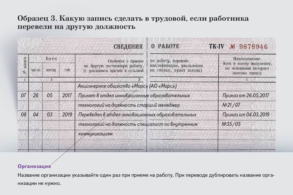 Как сделать первую запись в трудовой книжке образец