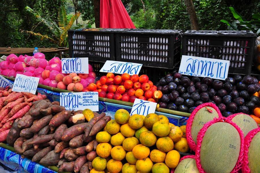 Сезон фруктов в тайланде - thailand-trip.org