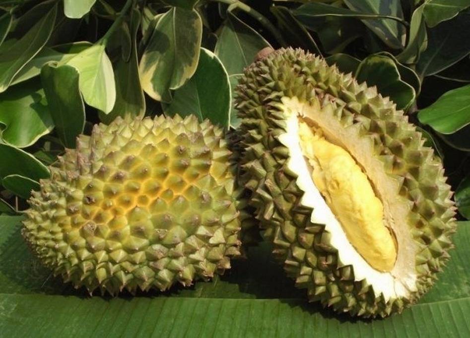 Экзотические фрукты из тайланда