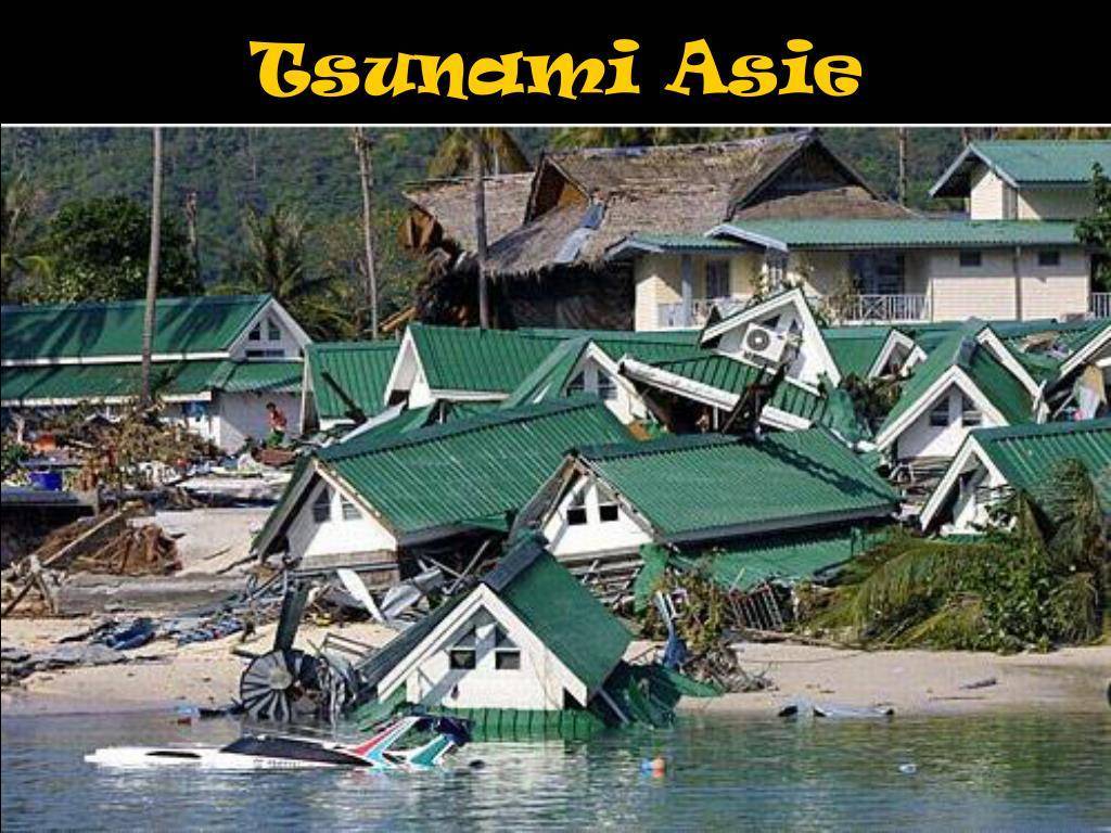 Цунами в тайланде 2004 года - стоит ли опасаться его сейчас? - информация для путешественников