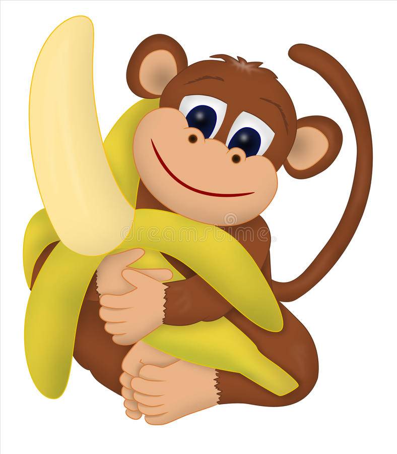 Лес обезьян в убуде: правила поведения, советы, как добраться
