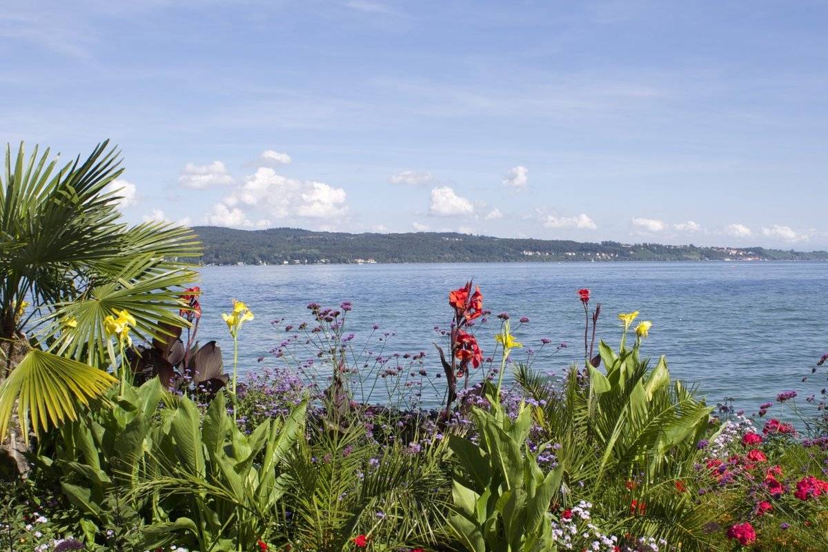 Остров цветов майнау - жемчужина боденского озера