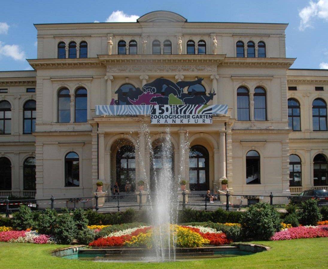 Франкфуртский зоопарк мирового уровня: zoologischer garten frankfurt
