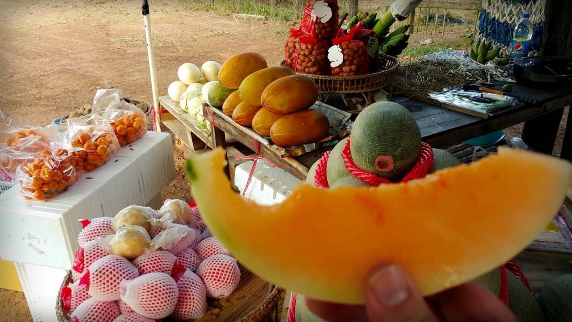 Что привезти из таиланда. какие фрукты, косметику, лекарства и чай. что привезти в подарок. отзывы туристов.
