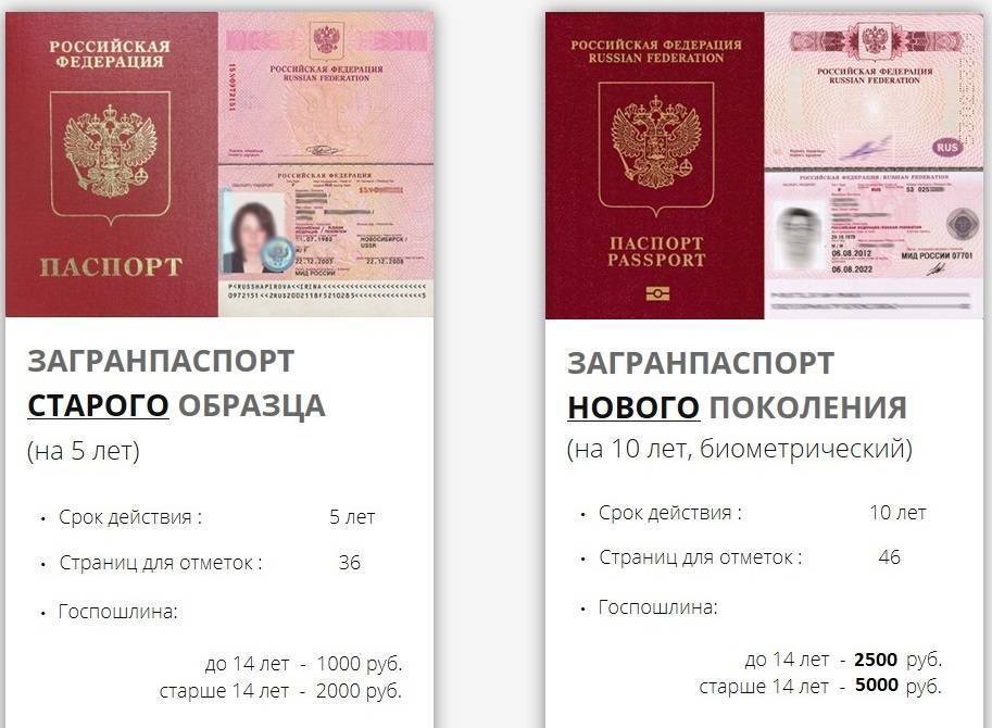 Замена загранпаспорта по истечении срока в 2021 году: документы для продления, пошаговая инструкция