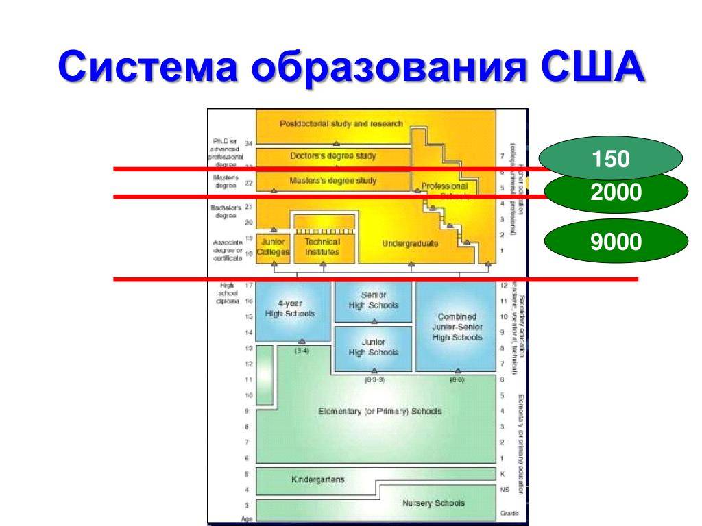 Система высшего образования в сша презентация