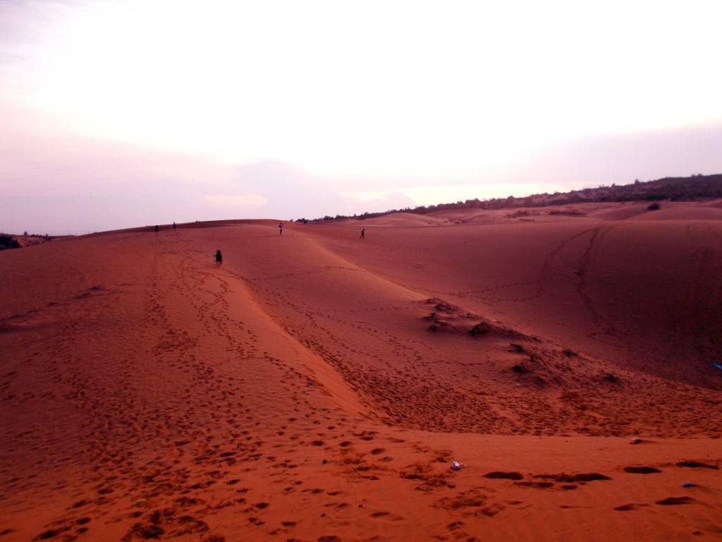 Песчаные дюны муйне. белые и красные дюны: величественность озера лотосов в пустыне. вот основные виды туров