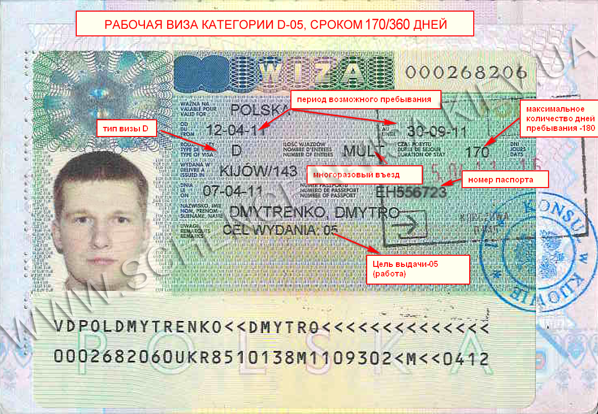 Фото на шенгенскую визу — требования 2020 года