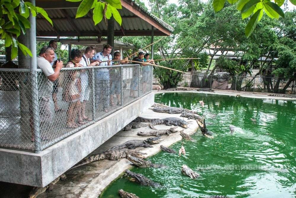 Сад камней в паттайе – зоопарк и крокодиловая ферма