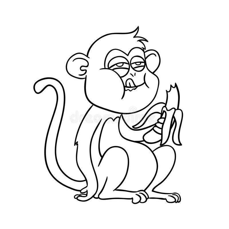 Лес обезьян на бали: фото, описание, как добраться
