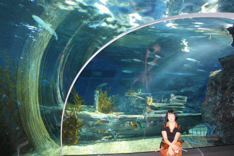 Океанариум в бангкоке sea life ocean world, как добраться самостоятельно - 2021